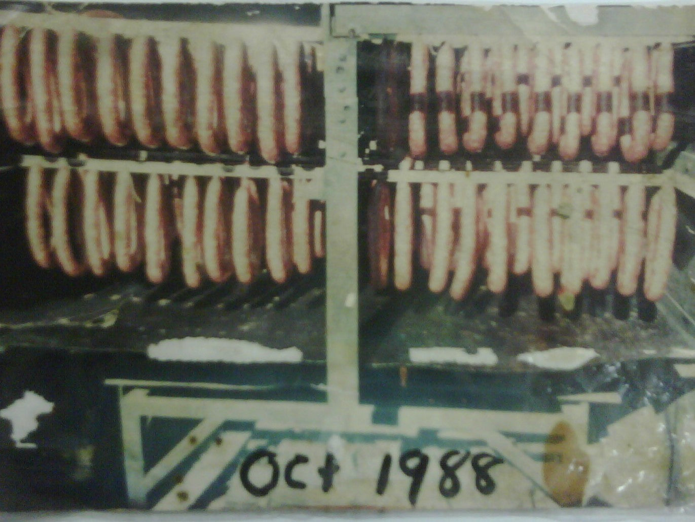 Leonard's Kielbasi Market